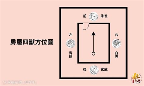 大門龍邊碰壁|【大門龍邊碰壁化解】大門龍邊碰壁破局！命理師湯鎮瑋教你運用。